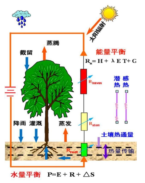 蒸散量测定方法及原理！