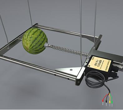 树干生长传感器、西瓜生长传感器