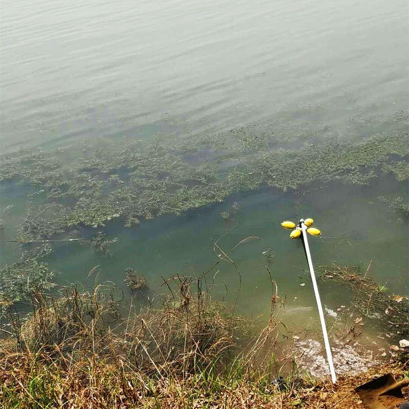 泰安市湿地公园水质监测系统落成！